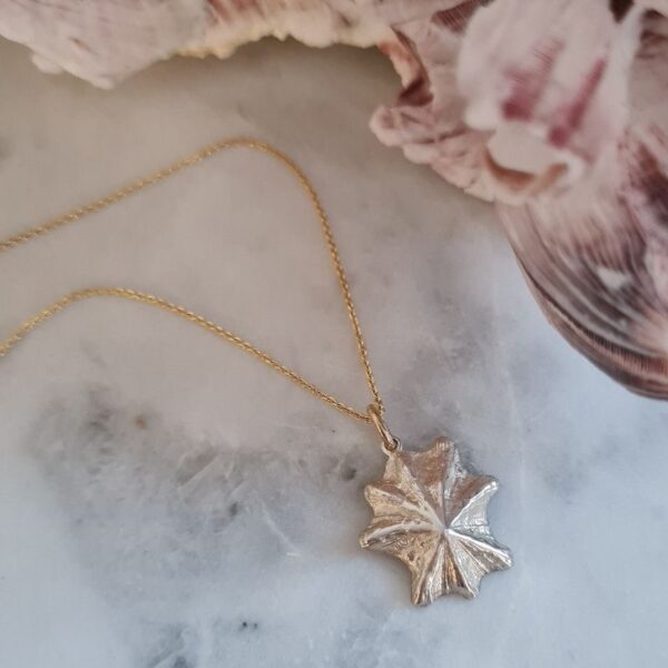 Star shell pendant