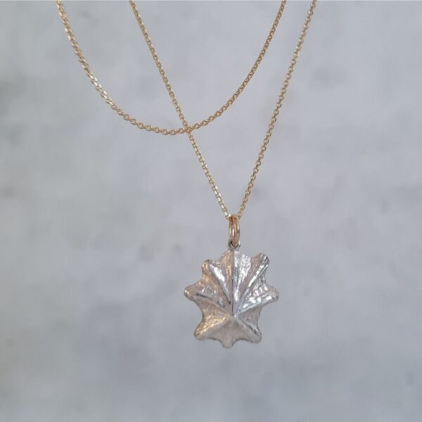 Star shell pendant